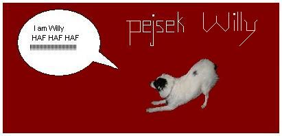 Můj superbanner.jpg