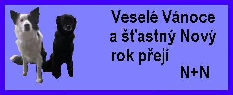 Vánoční karta.jpg