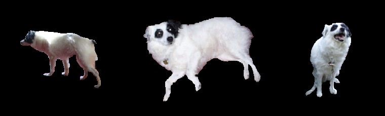 Vystříhnutý Wily.jpg