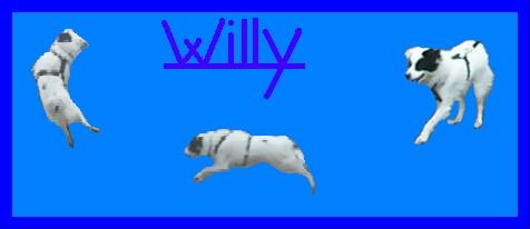 Willy skok.jpg