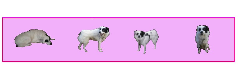 Logo Willly .jpg