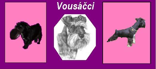 baner vousáčci.jpg